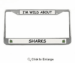 Shark License Plate Frame