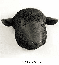 Sheep Magnet By Conversation Concepts 2"