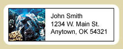 Shell Address Labels