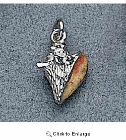 Shell Charm