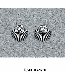 Shell Earrings Sterling Silver Stud