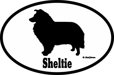 Shetland Sheepdog Bumper Sticker Euro