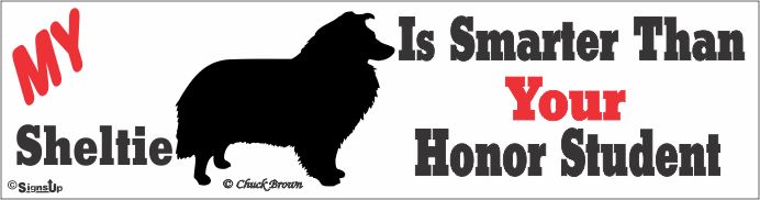 Shetland Sheepdog Bumper Sticker Honor Student