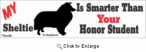 Shetland Sheepdog Bumper Sticker Honor Student