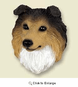 Shetland Sheepdog Magnet