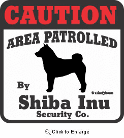 Shiba Inu Bumper Sticker Caution