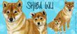 Shiba Inu Coffee Mug