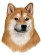 Shiba Inu Decal Window Sticker