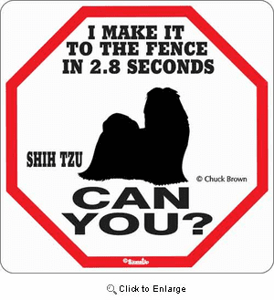 Shih Tzu 2.8 Seconds Sign