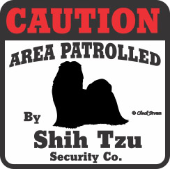 Shih Tzu Bumper Sticker Caution