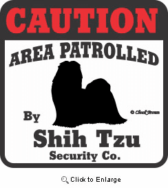 Shih Tzu Bumper Sticker Caution