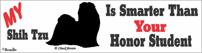 Shih Tzu Bumper Sticker Honor Student