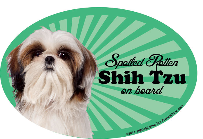 Shih Tzu Car Magnet - Spoiled Rotten