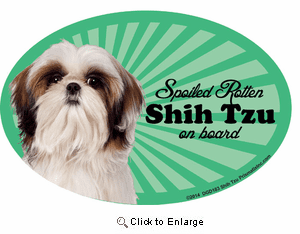 Shih Tzu Car Magnet - Spoiled Rotten