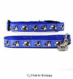 Shih Tzu Collar & Leash