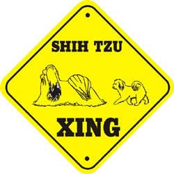 Shih Tzu Crossing