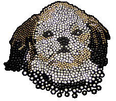 Shih Tzu T-Shirt Rhinestone-Rhinestud