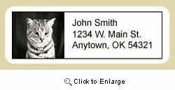 Shorthair Cat Address Labels