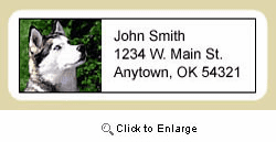 Siberian Husky Address Labels
