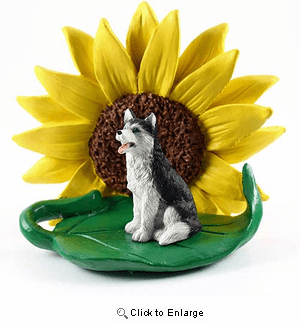Siberian Husky Black-White Blue Eyes Sunflower Figurine