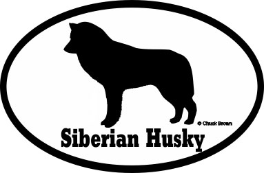 Siberian Husky Bumper Sticker Euro