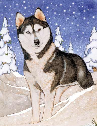 Siberian Husky Christmas Cards