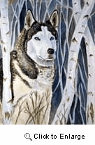 Siberian Husky Garden Flag