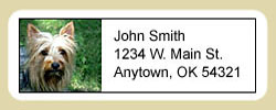 Silky Terrier Address Labels