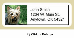 Silky Terrier Address Labels