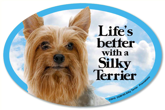 Silky Terrier Car Magnet - Life's Better