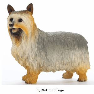 Silky Terrier Figurine