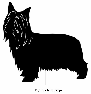 Silky Terrier Garden Stake