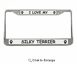 Silky Terrier License Plate Frame