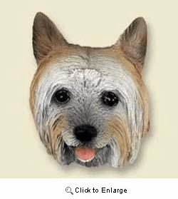 Silky Terrier Magnet