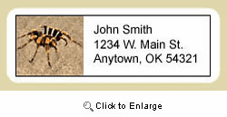 Spider Address Labels