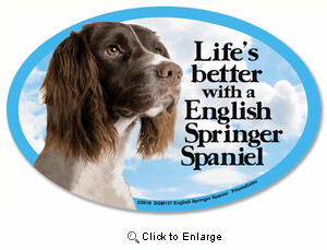 Springer Spaniel Car Magnet - Life's Better