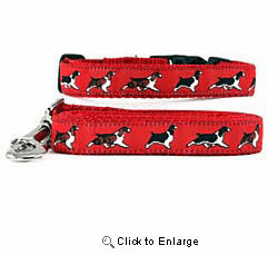 Springer Spaniel Collar & Leash