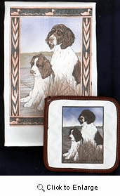 Springer Spaniel Dish Towel & Potholder