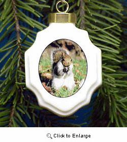 Squirrel Christmas Ornament Porcelain