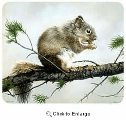 Squirrel Mousepad