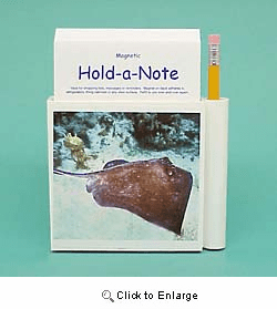 Stingray Hold-a-Note