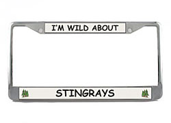 Stingray License Plate Frame