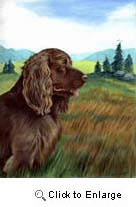 Sussex Spaniel Garden Flag
