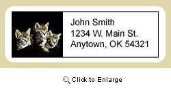 Tabby Cat Address Labels