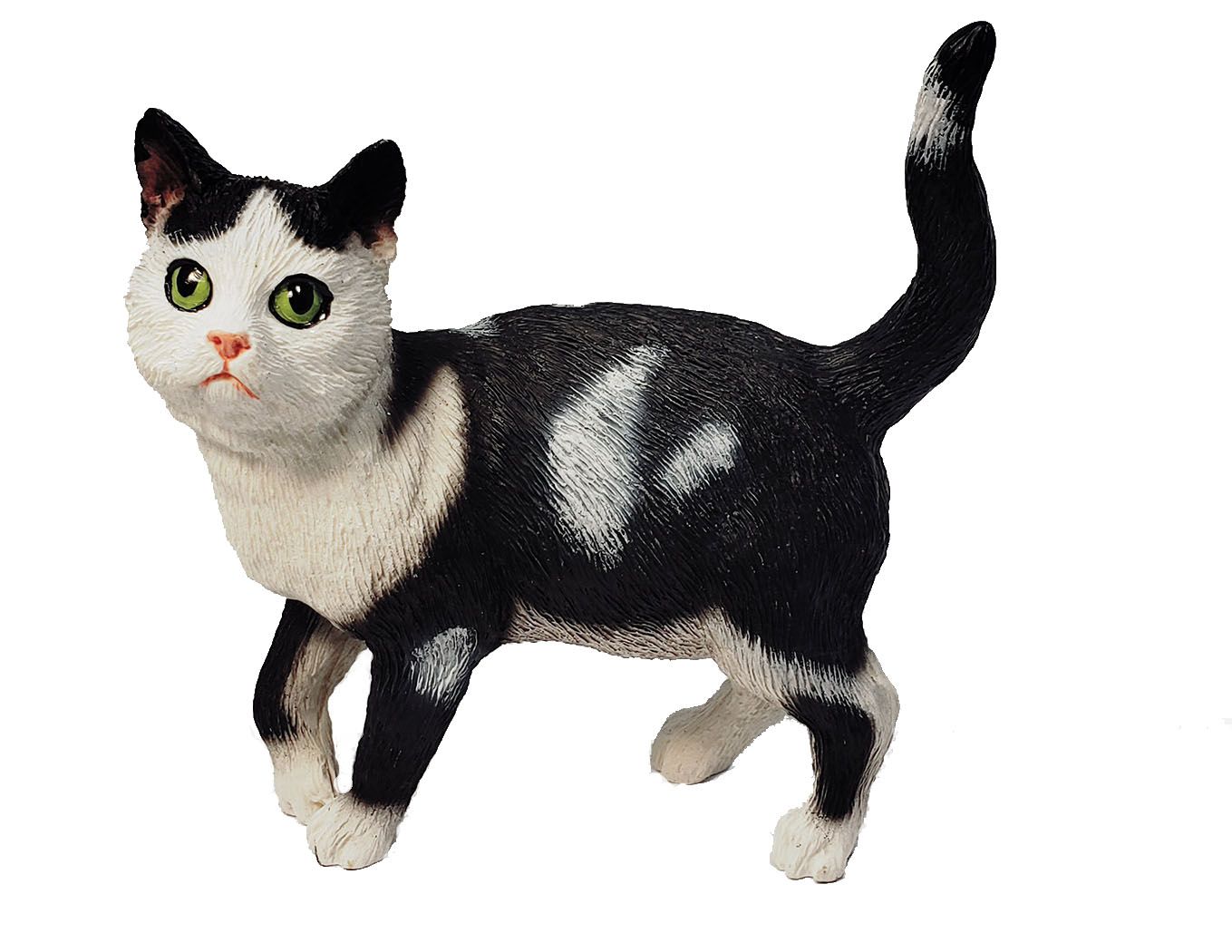 Black & White Cat Products & Gifts – Animal Den