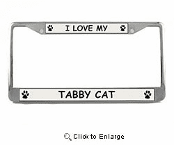 Tabby Cat License Plate Frame