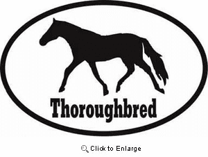 Thoroughbred Horse Bumper Sticker Euro