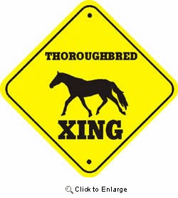 Thoroughbred Horse Crossing