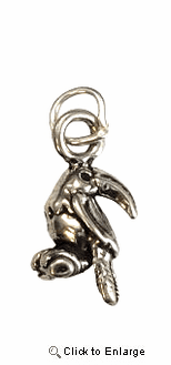 Toucan Sterling Silver Charm