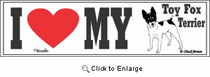 Toy Fox Terrier Bumper Sticker I Love My